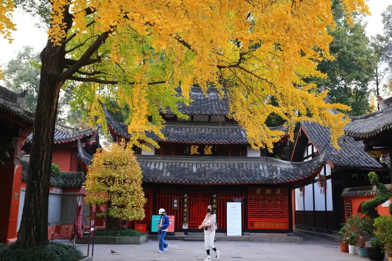 基于启智合创平台的数字化项目管理工具：功能架构与行业应用场景