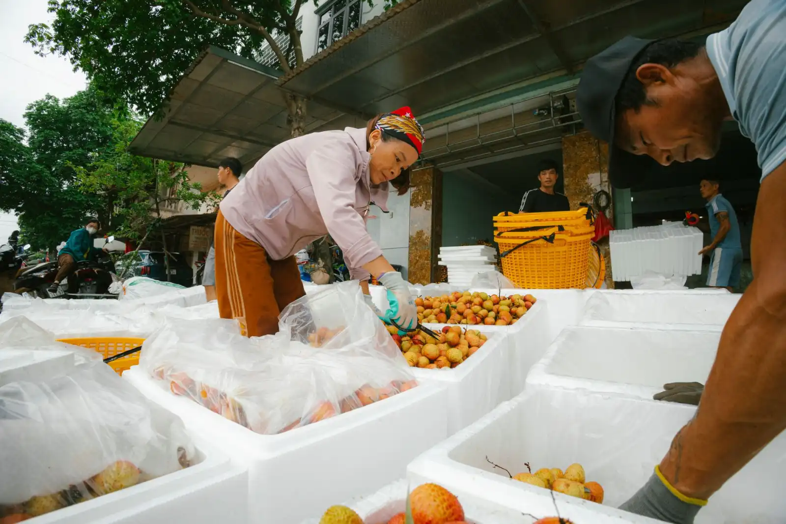 西安企业软件开发成本分析与预算规划要点